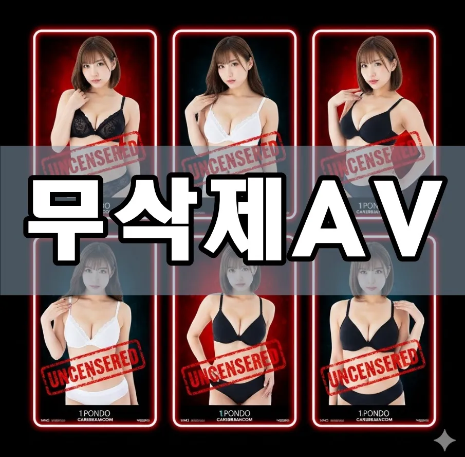 무삭제AV 표지